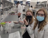 Zajęcia laboratoryjne na Wydziale Chemii UAM