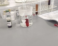 Zajęcia laboratoryjne na Wydziale Chemii UAM