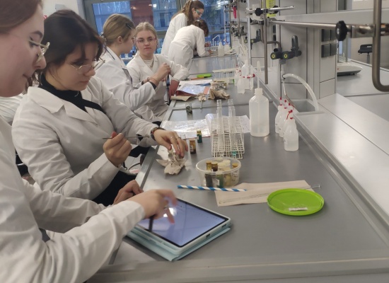 Zajęcia laboratoryjne na Wydzoale Chemii UAM